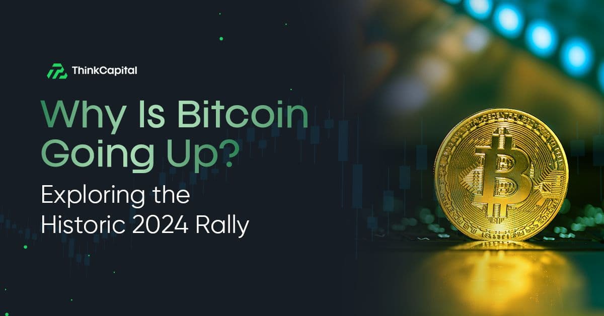 ¿Por Qué Está Subiendo Bitcoin? Explorando el Rally Histórico de 2024